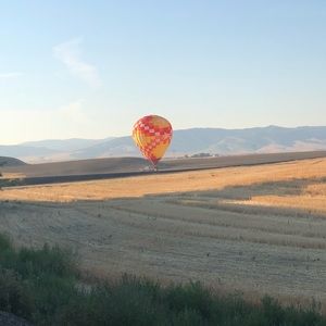 Meet your Posher, Pamela